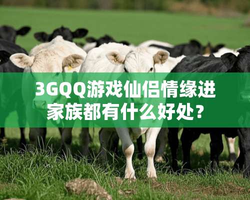 3GQQ游戏仙侣情缘进家族都有什么好处？