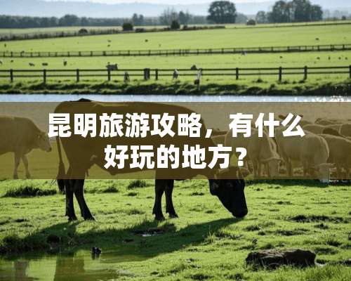 昆明旅游攻略，有什么好玩的地方？