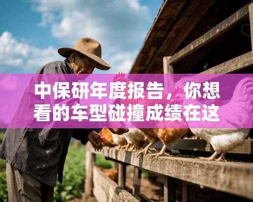 中保研年度报告，你想看的车型碰撞成绩在这里