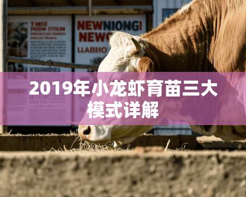 2019年小龙虾育苗三大模式详解