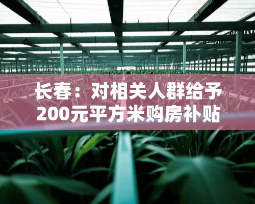 长春：对相关人群给予200元平方米购房补贴，此举会有哪些好处呢？