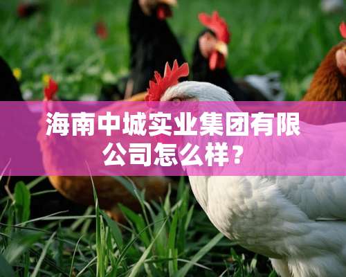 海南中城实业集团有限公司怎么样？