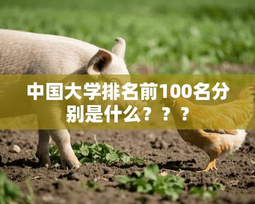 中国大学排名前100名分别是什么？？？