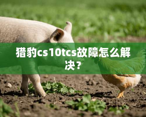 **cs10tcs故障怎么解决？