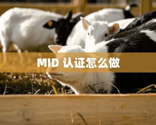 MID 认证怎么做