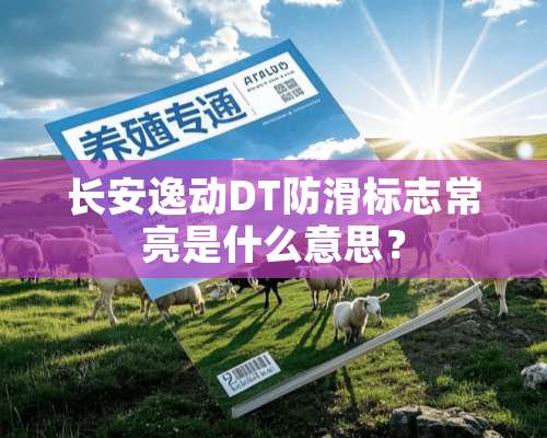 长安逸动DT防滑标志常亮是什么意思？