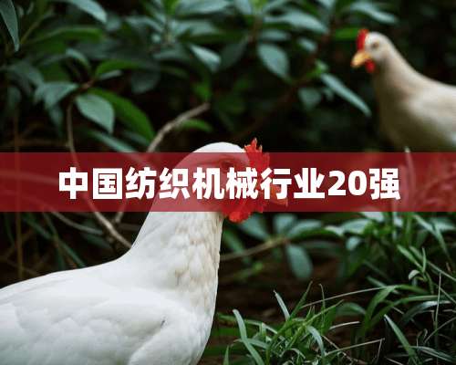 中国纺织机械行业20强