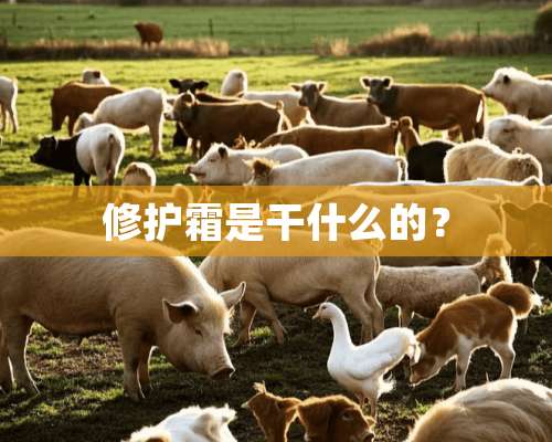 修护霜是干什么的？