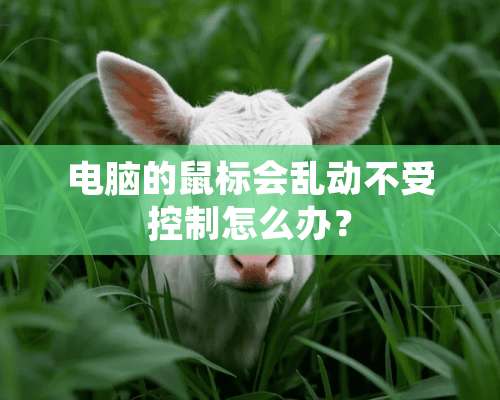 电脑的鼠标会乱动不受控制怎么办？