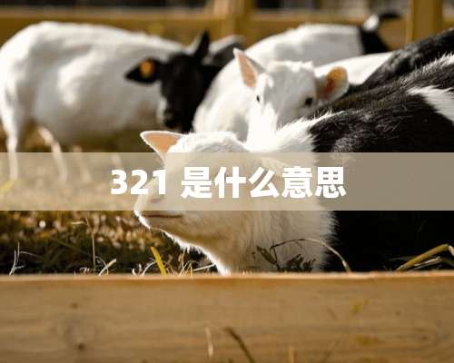 321 是什么意思