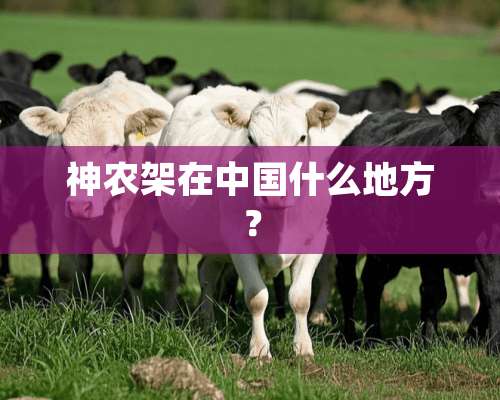 神农架在中国什么地方？