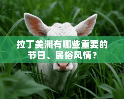 拉丁美洲有哪些重要的节日、民俗风情？