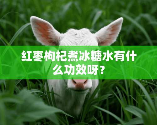 红枣枸杞煮冰糖水有什么功效呀？