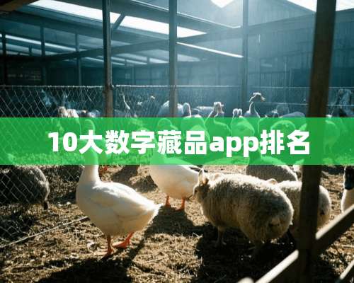 10大数字藏品app排名