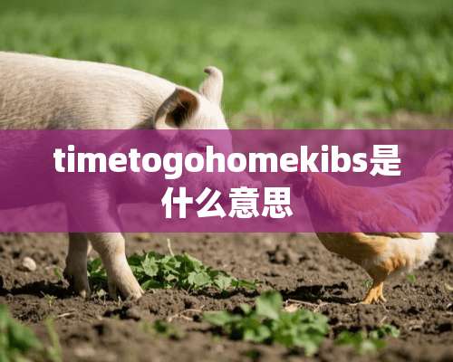 timetogohomekibs是什么意思