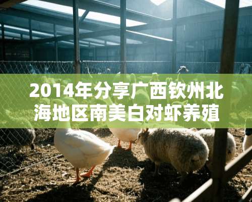 2014年分享广西钦州北海地区南美白对虾养殖丰收的喜悦