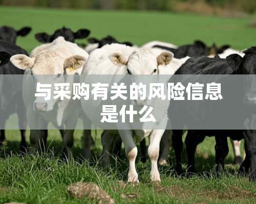 与采购有关的风险信息是什么