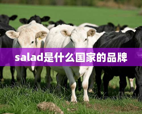 salad是什么国家的品牌