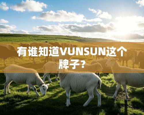 有谁知道VUNSUN这个牌子？