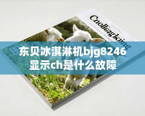 东贝冰淇淋机bjg8246显示ch是什么故障