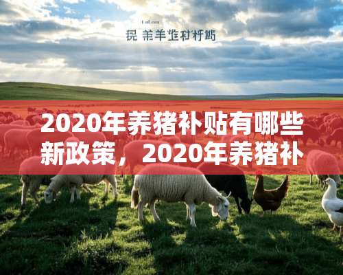 2020年养猪补贴有哪些新政策，2020年养猪补贴标准是多少？