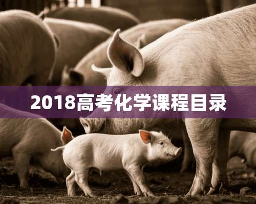 2018高考化学课程目录