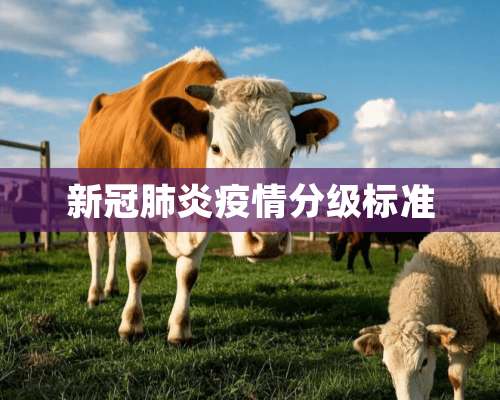 新冠肺炎疫情分级标准