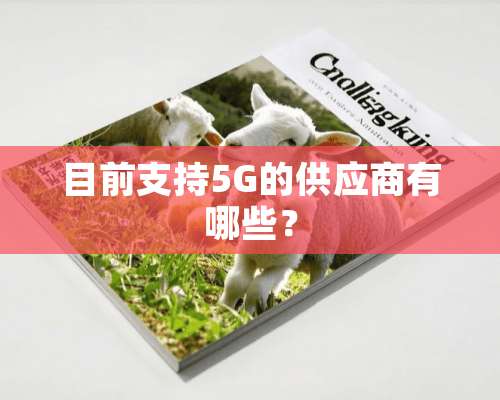 目前支持5G的供应商有哪些？