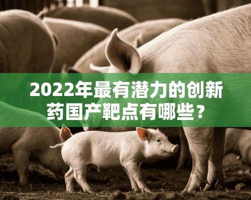 2022年最有潜力的创新药国产靶点有哪些？