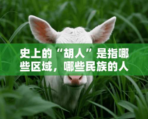 史上的“胡人”是指哪些区域，哪些民族的人