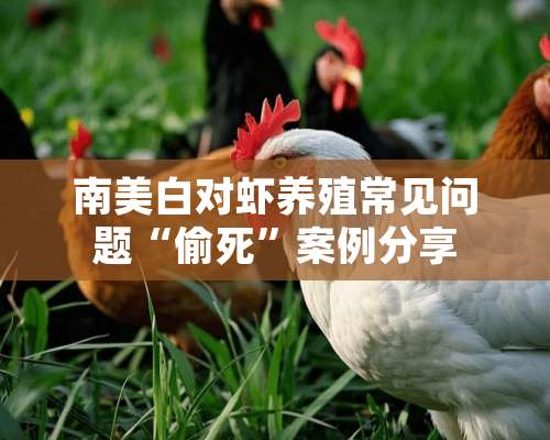 南美白对虾养殖常见问题“偷死”案例分享