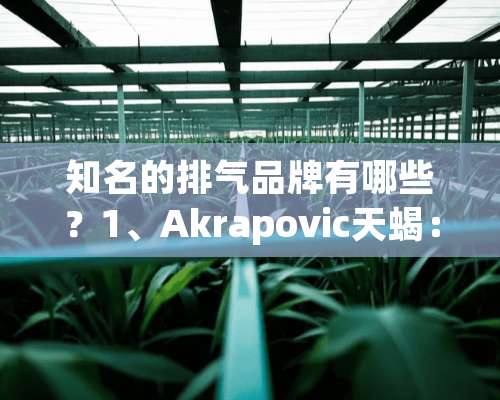 知名的排气品牌有哪些？1、Akrapovic天蝎：本着创造最**排气喉的信念