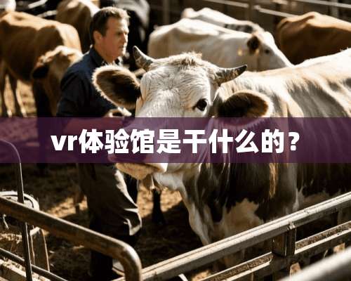 vr体验馆是干什么的？