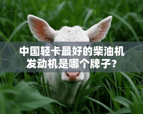 中国轻卡最好的柴油机发动机是哪个牌子？