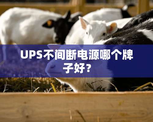 UPS不间断电源哪个牌子好？