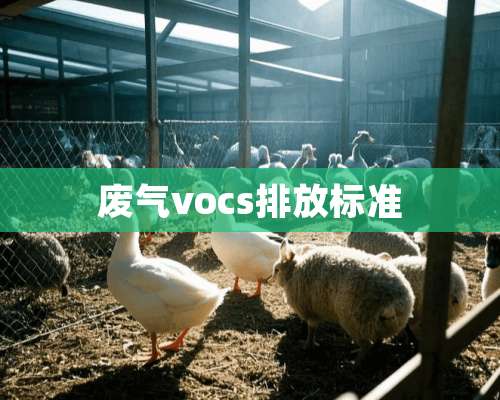 废气vocs排放标准