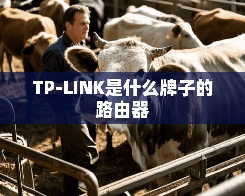 TP-LINK是什么牌子的路由器