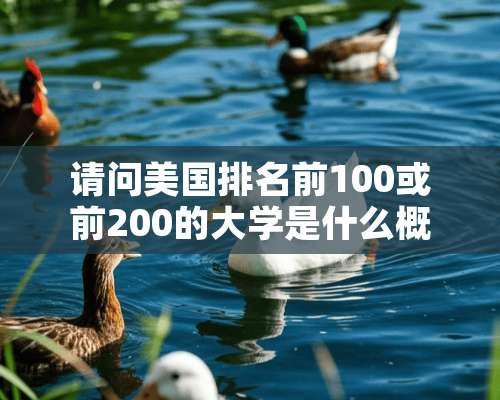 请问美国排名前100或前200的大学是什么概念？相当与中国的哪些大学？