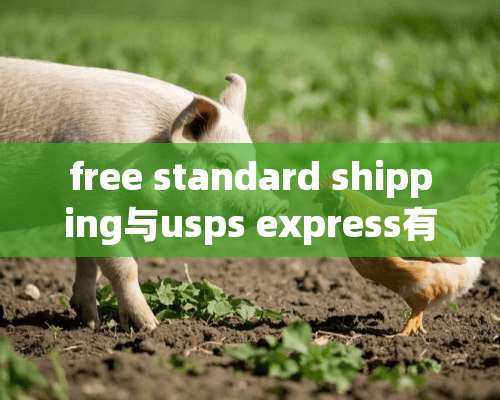 free standard shipping与usps express有什么区别