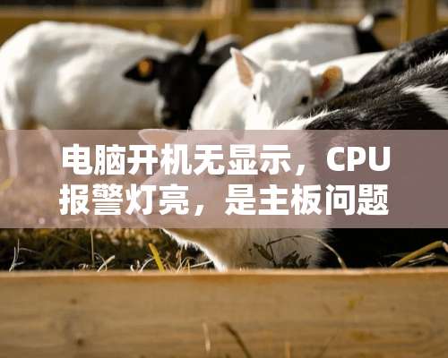 电脑开机无显示，CPU报警灯亮，是主板问题吗？