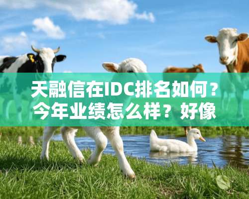 天融信在IDC排名如何？今年业绩怎么样？好像他们参与了神九项目.