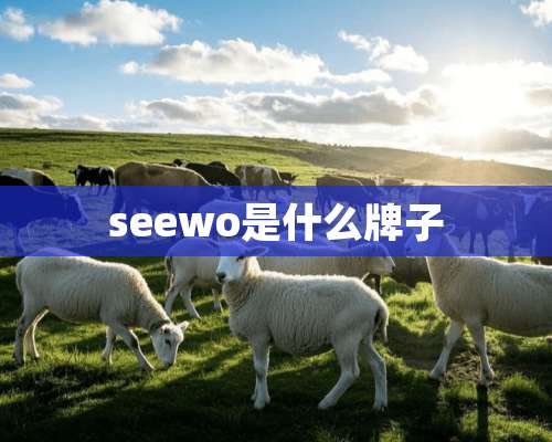 seewo是什么牌子