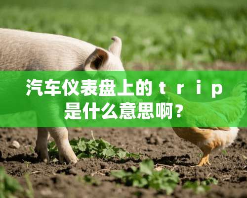 汽车仪表盘上的ｔｒｉｐ是什么意思啊？