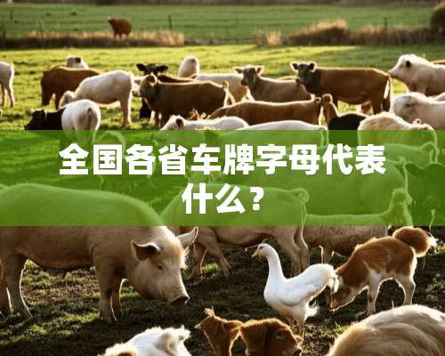 全国各省车牌字母代表什么？