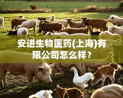 安进生物医药(上海)有限公司怎么样？