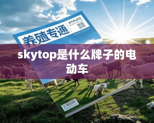 skytop是什么牌子的电动车