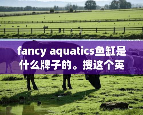 fancy aquatics鱼缸是什么牌子的。搜这个英文淘宝找不到