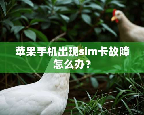 苹果手机出现sim卡故障怎么办？