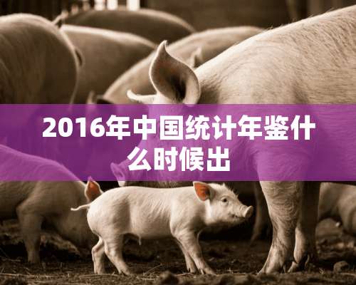 2016年中国统计年鉴什么时候出