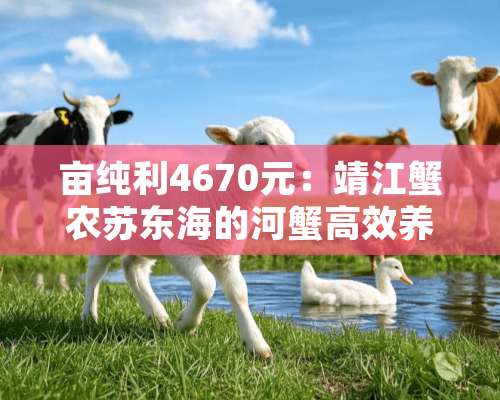 亩纯利4670元：靖江蟹农苏东海的河蟹高效养殖技术经验分享